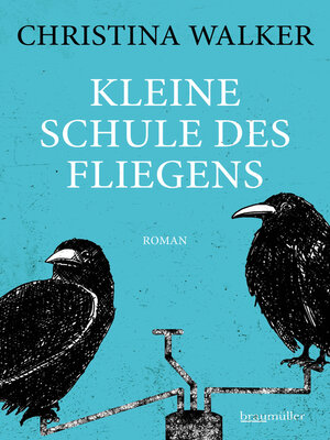 cover image of Kleine Schule des Fliegens